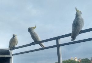 img_20161203_065731549_hdr