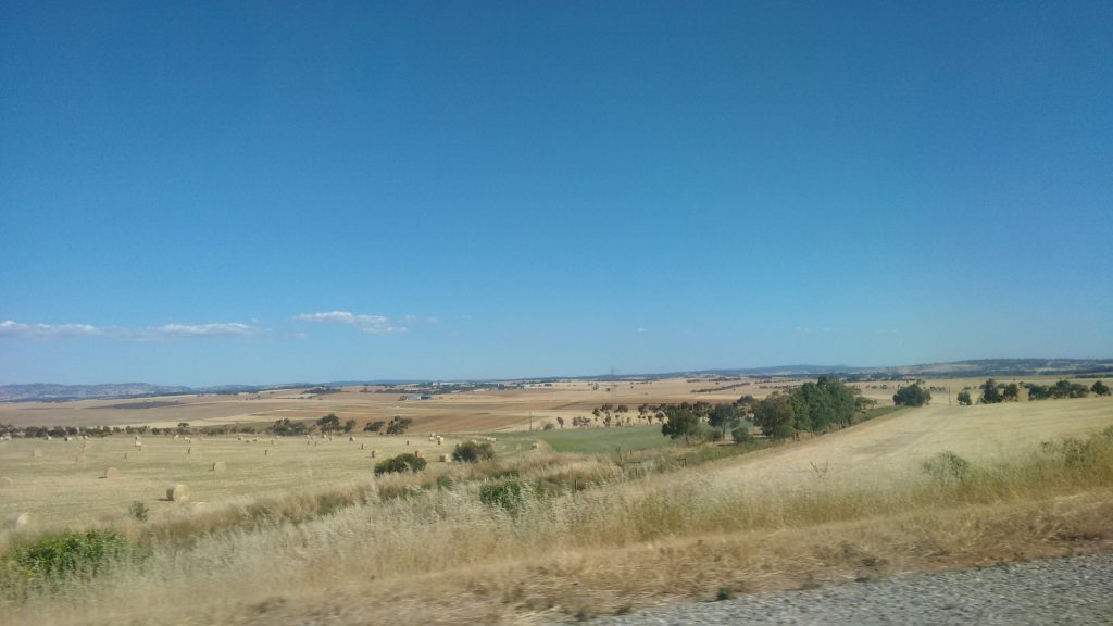 img_20161210_171230194