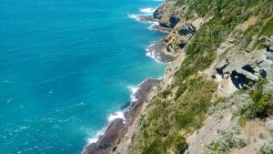 img_20161216_120314920
