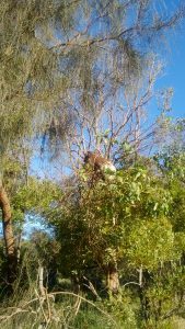 img_20161216_184643942