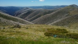 En la cima de Australia